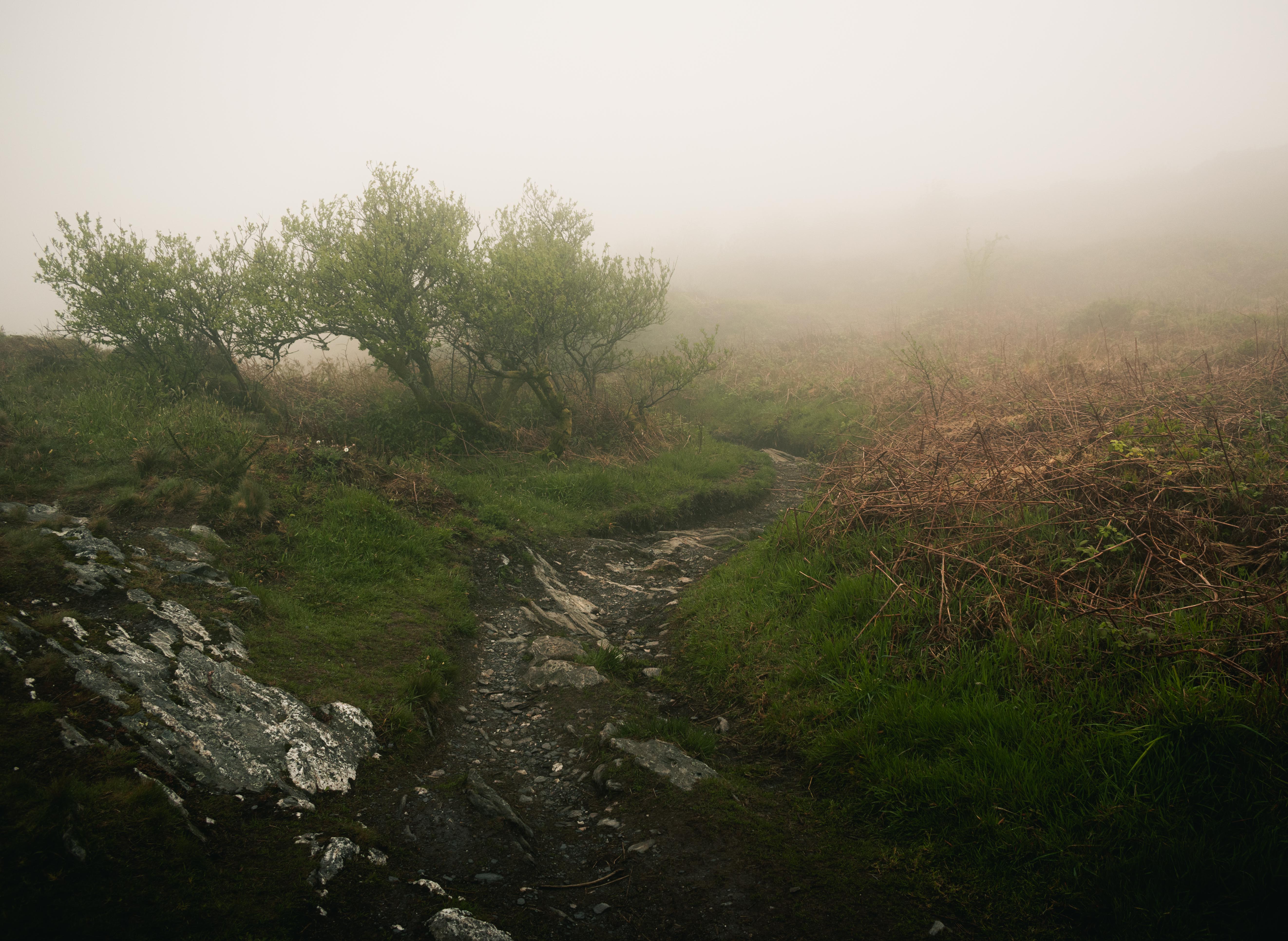 monts d'arrée