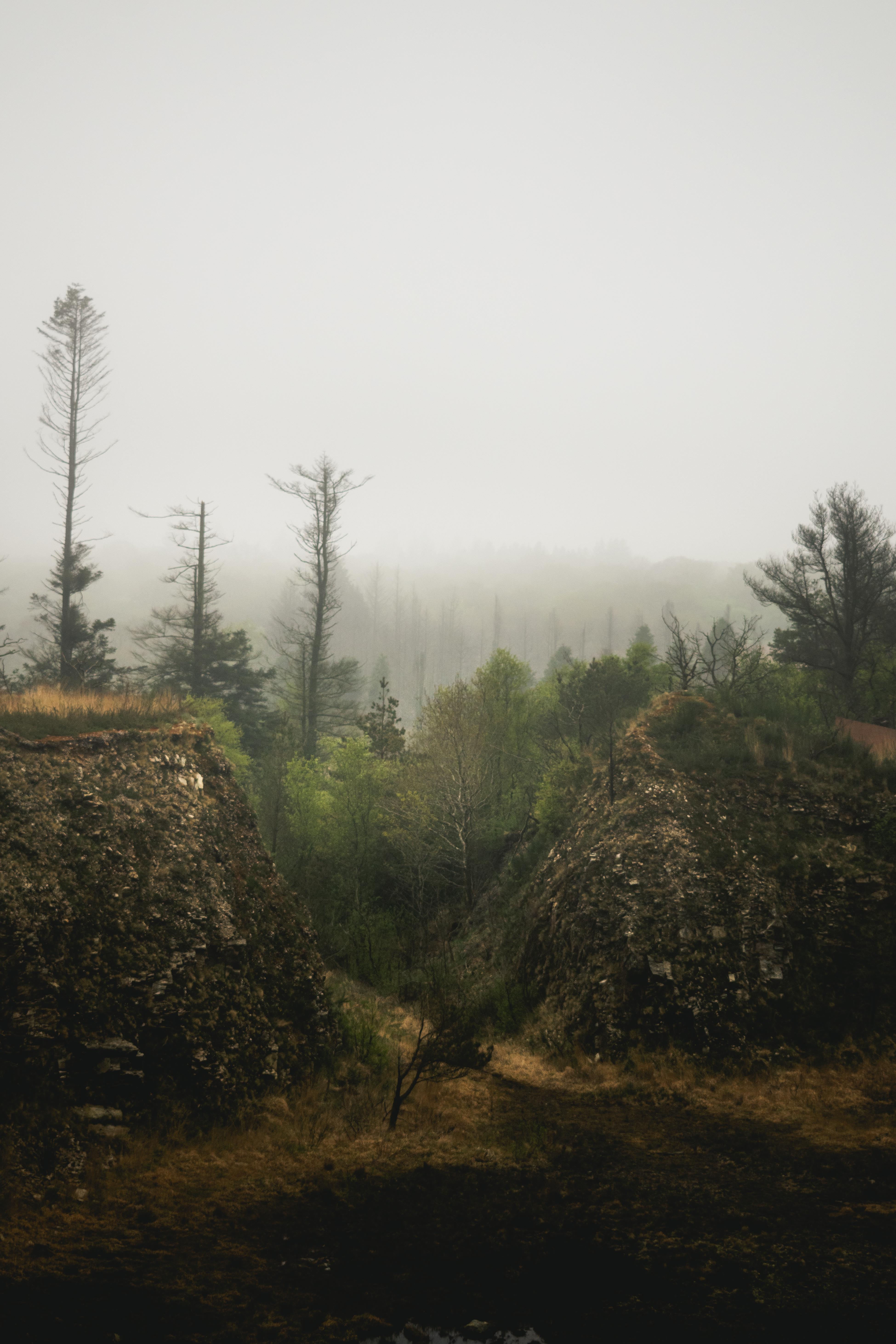 monts d'arrée